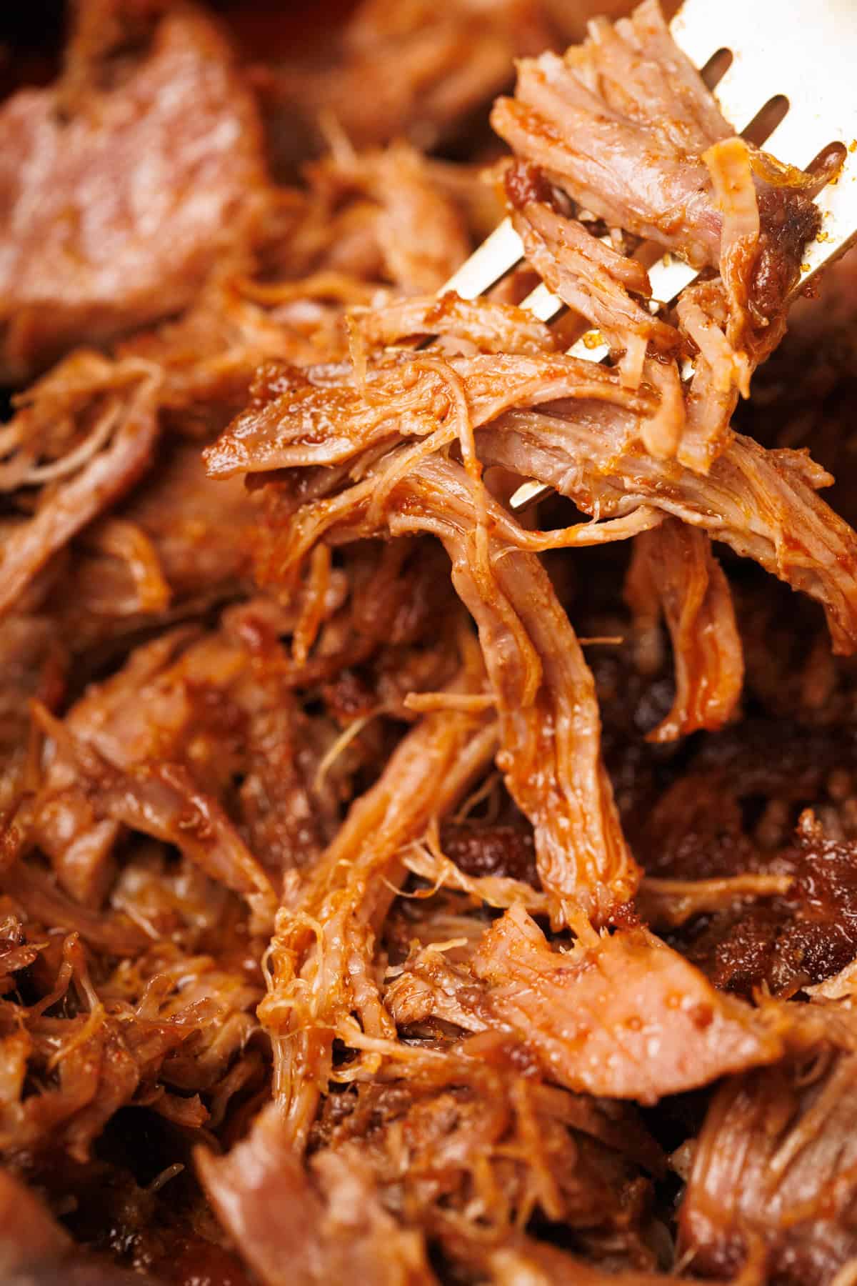 Close-up of the pulled lamb with a golden fork.