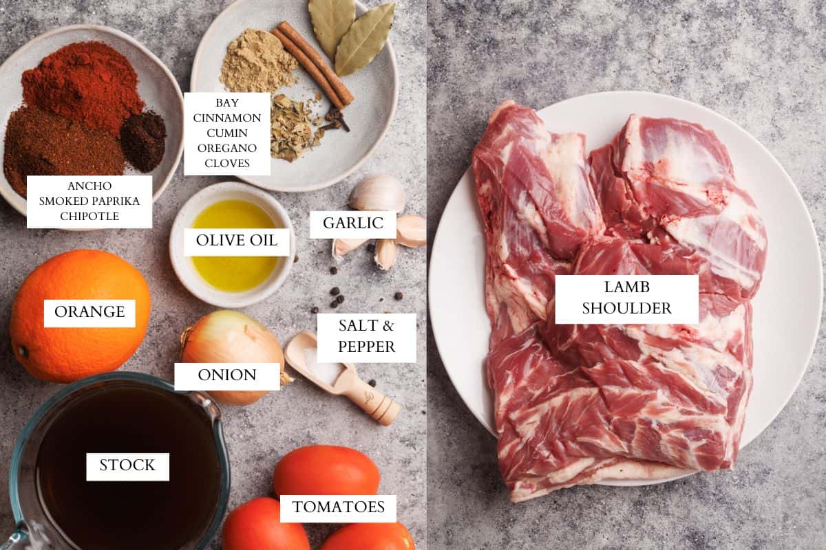 Ingredients laid out to make lamb birria.