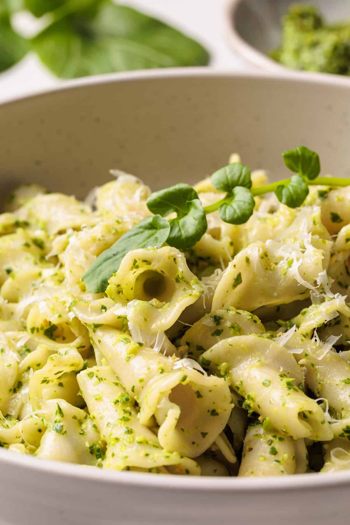 Watercress pesto pasta in a white bowl next to watercress.